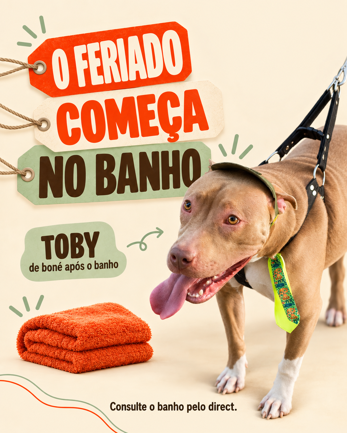 Detalhe do Toby com gravata em uma arte aprovada da Pet Charlote